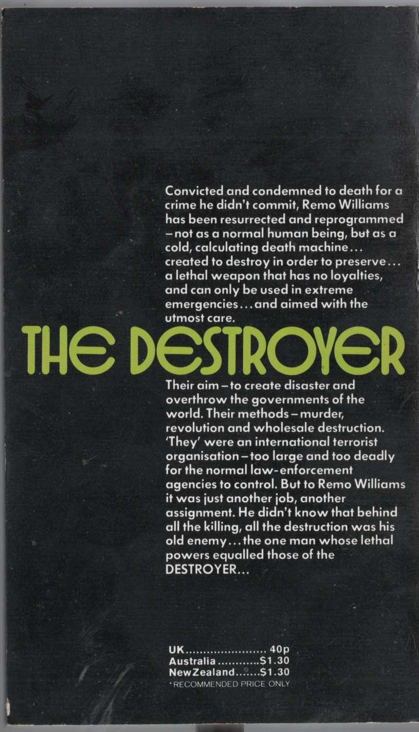 THE DESTROYER: TERROR SQUAD magnified rear book cover image