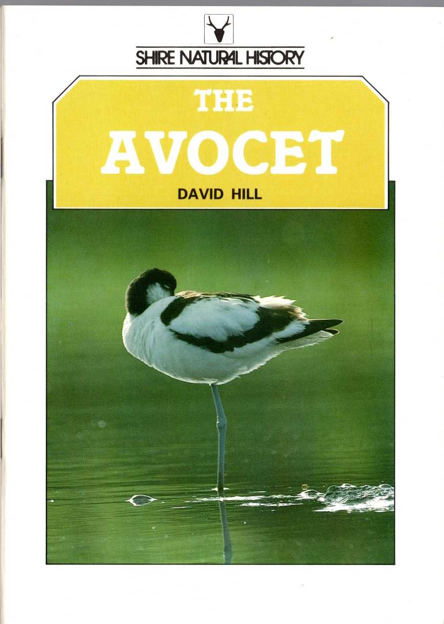 David Hill  THE AVOCET front book cover image