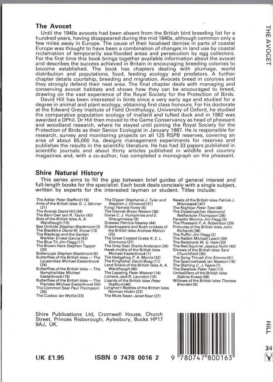 David Hill  THE AVOCET magnified rear book cover image