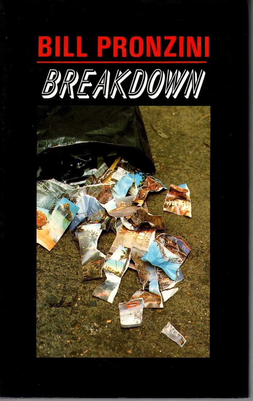 BREAKDOWN magnified rear book cover image