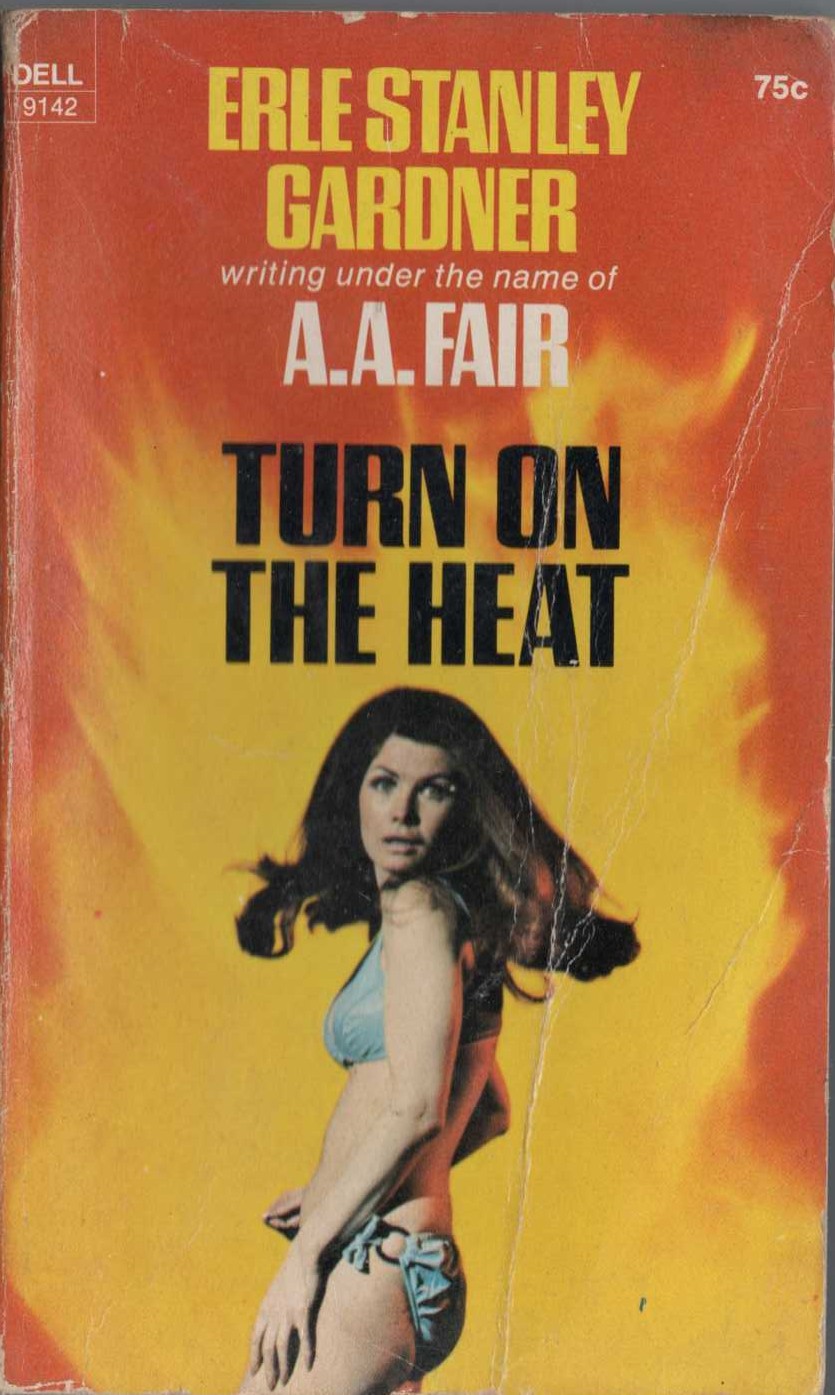 A.A. Fair  TURN ON THE HEAT front book cover image