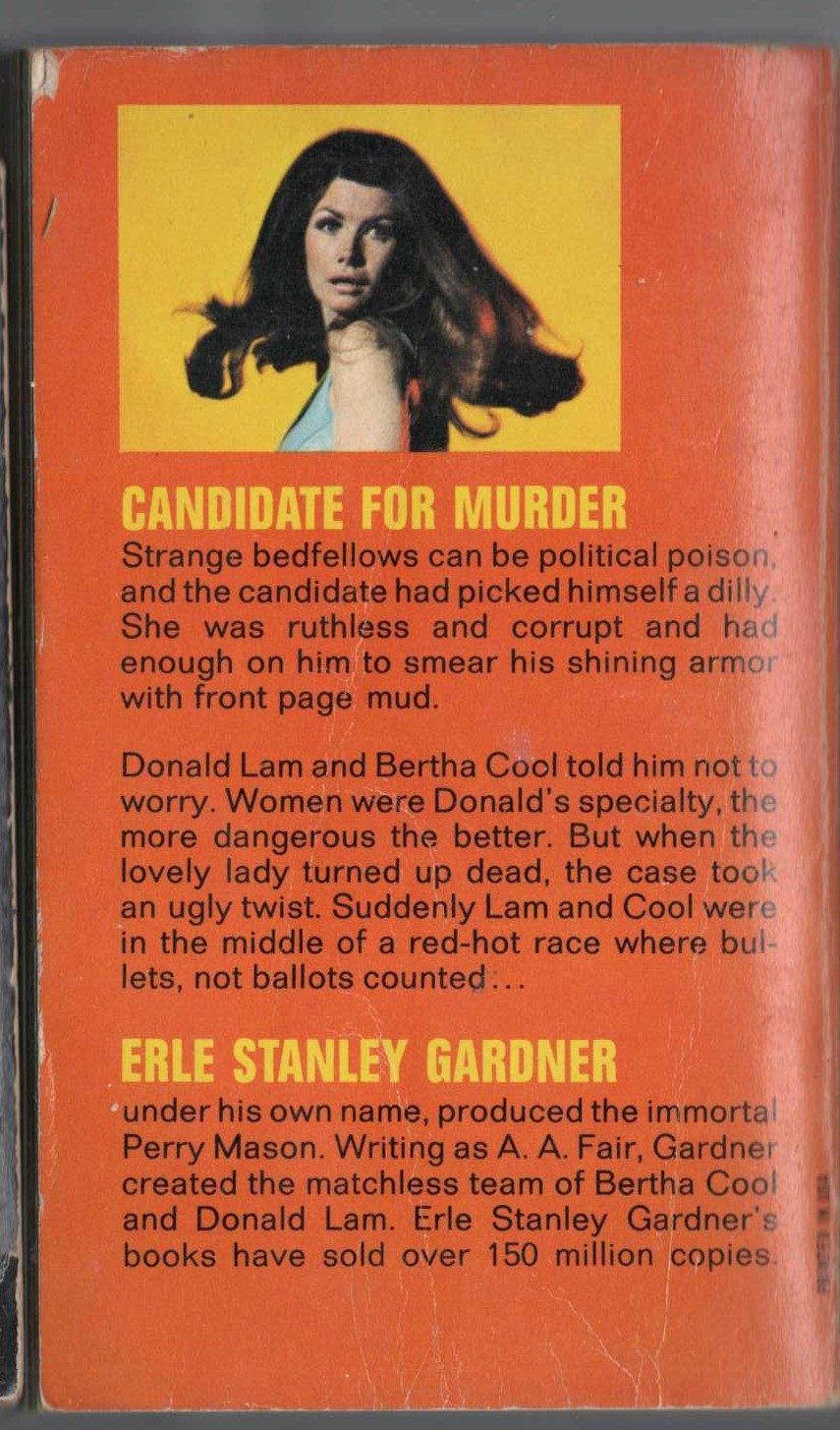 A.A. Fair  TURN ON THE HEAT magnified rear book cover image