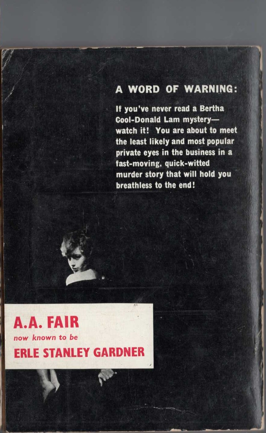 A.A. Fair  SOME WOMEN WON'T WAIT magnified rear book cover image