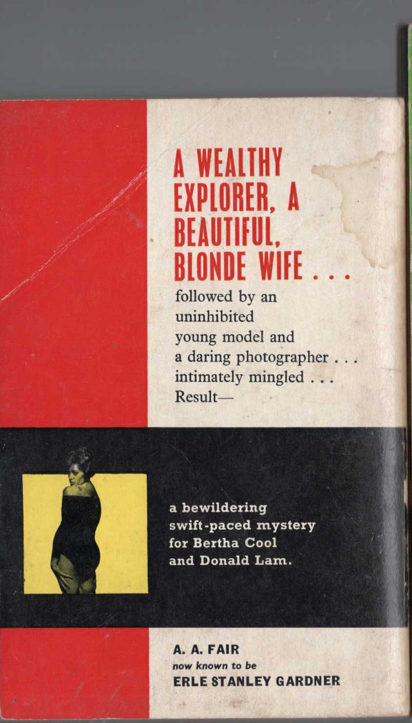 A.A. Fair  THE COUNT OF NINE magnified rear book cover image