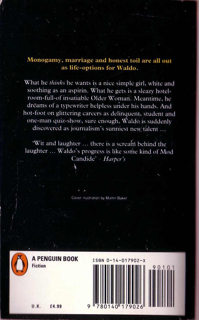 Paul Theroux  WALDO magnified rear book cover image