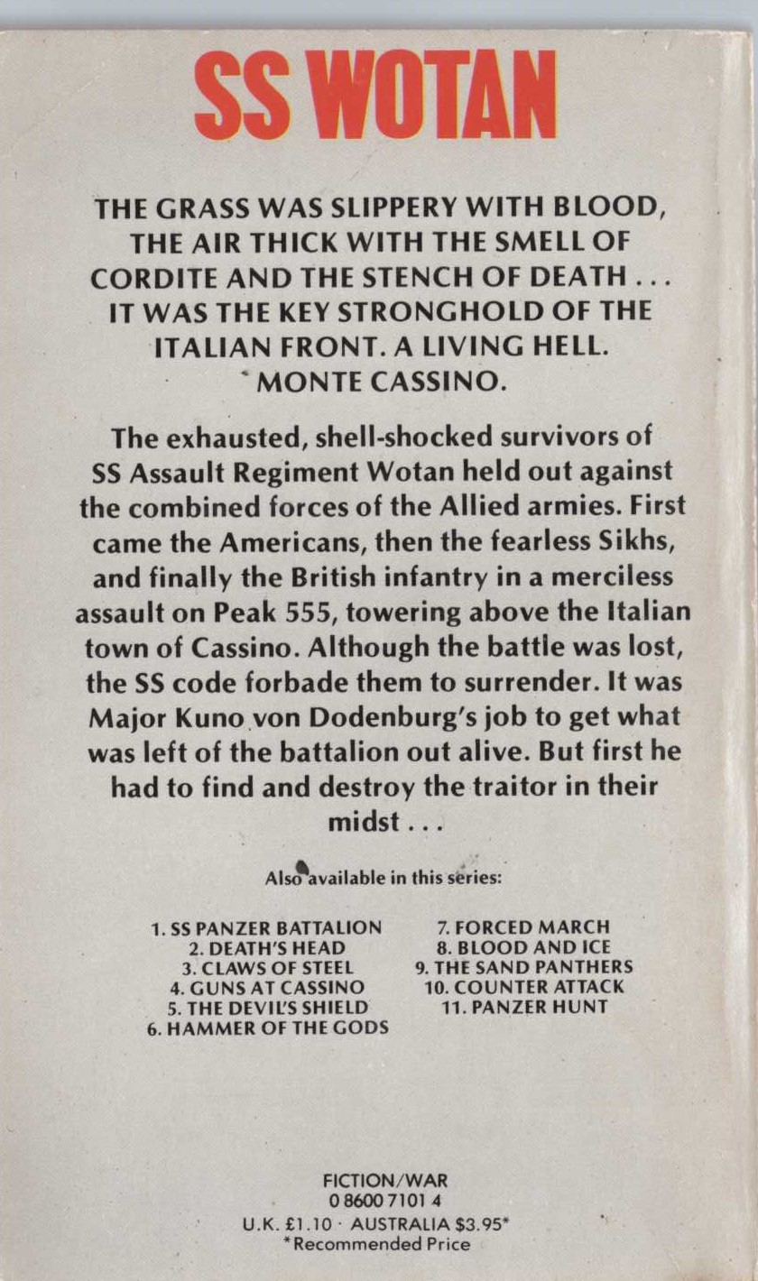 Leo Kessler  GUNS AT CASSINO magnified rear book cover image