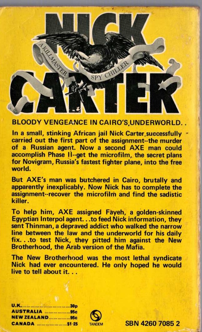 Nick Carter  CAIRO magnified rear book cover image