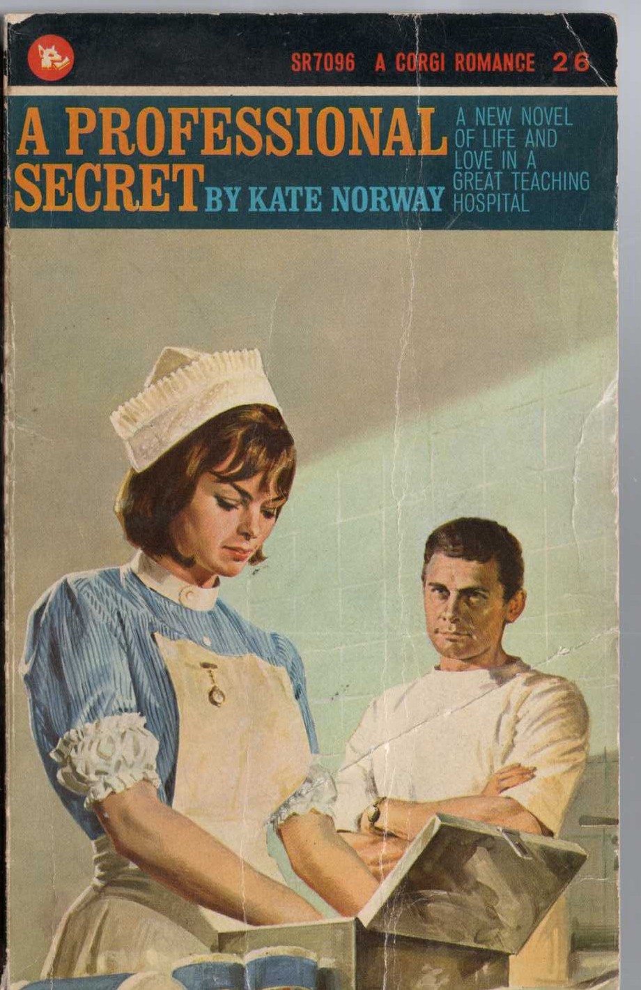 Kate Norway  A PROFESSIONAL SECRET front book cover image