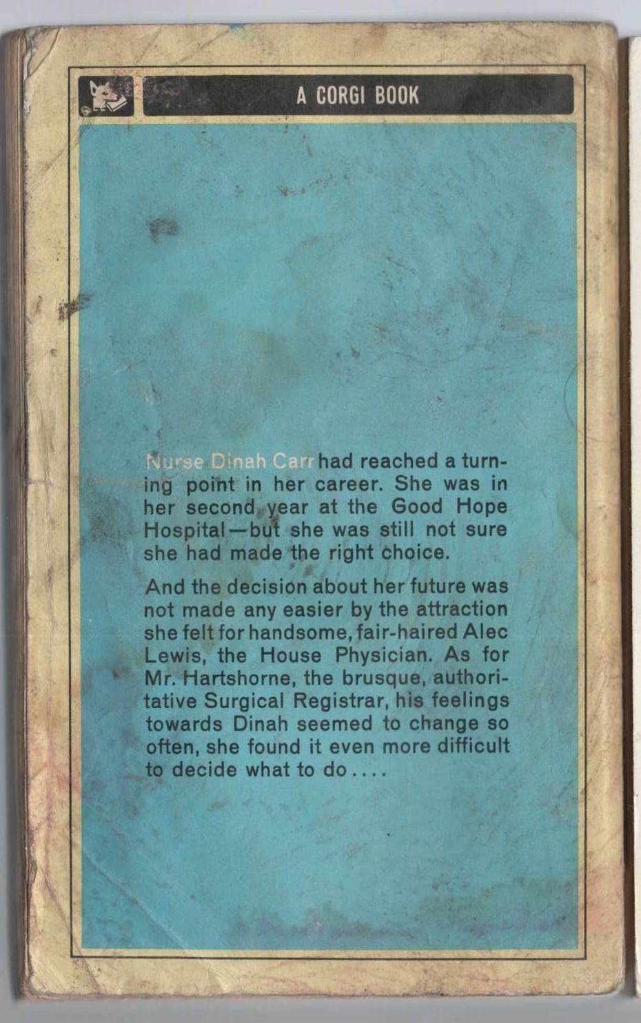 Bess Norton  THE SUMMER CHANGE magnified rear book cover image
