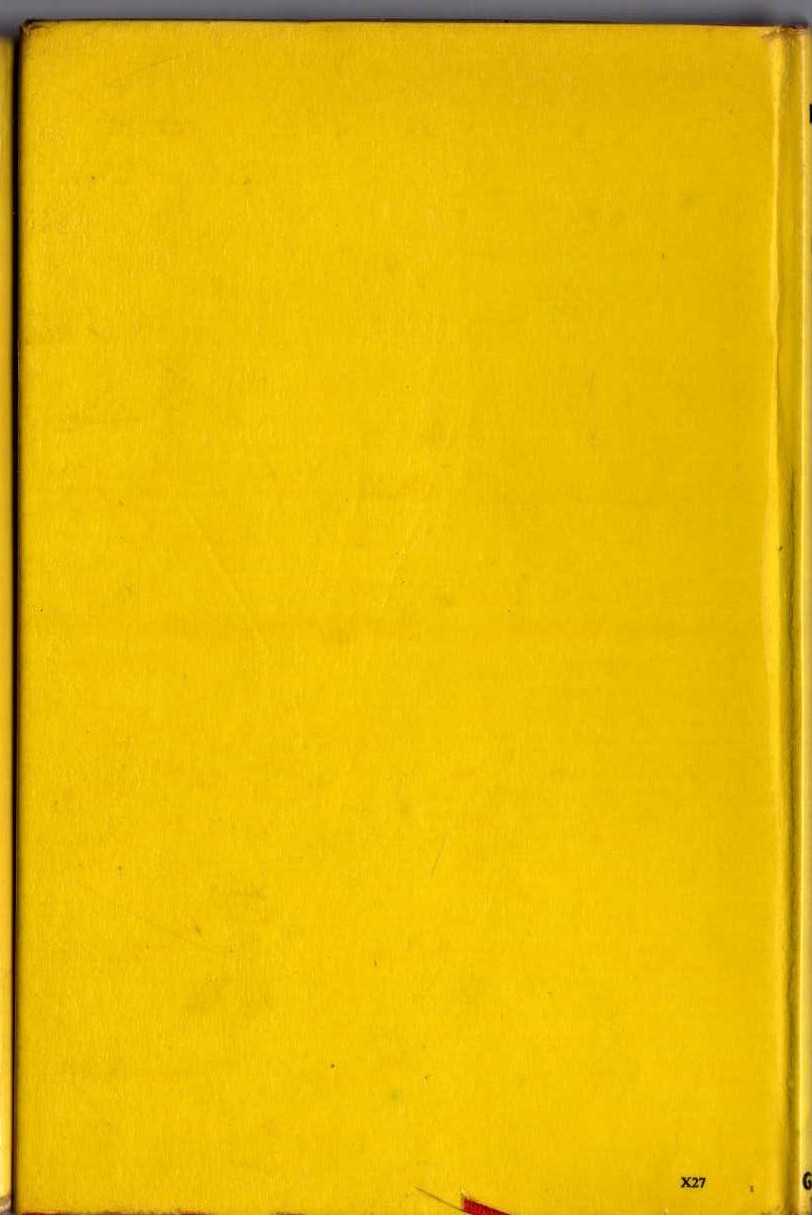 THE MISSING MAN magnified rear book cover image