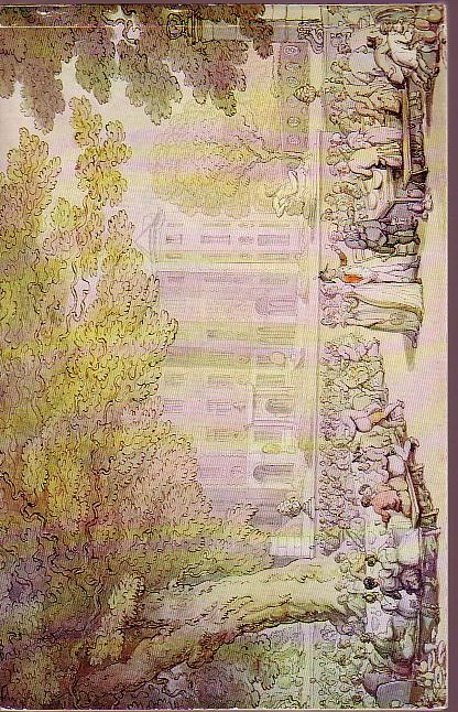  magnified rear book cover image