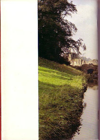  magnified rear book cover image