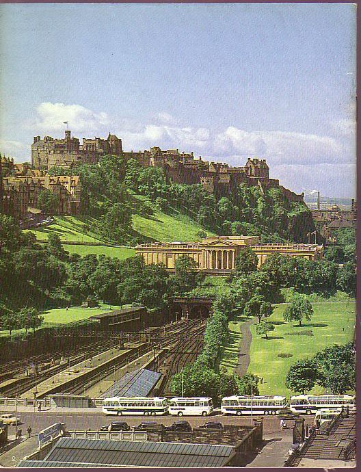  magnified rear book cover image