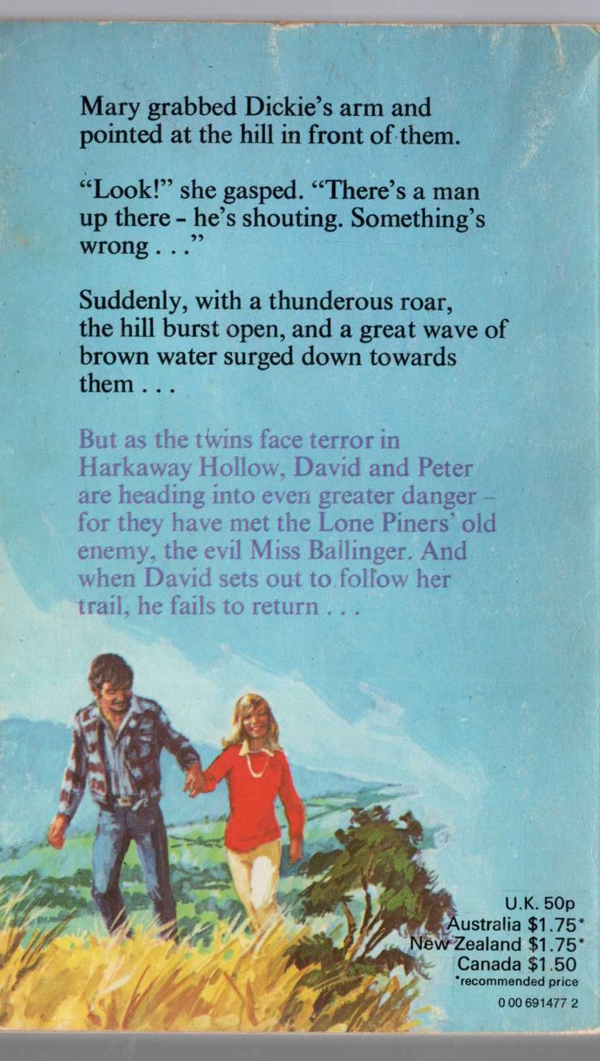 Malcolm Saville  HOME TO WITCHEND magnified rear book cover image