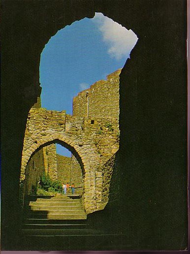  magnified rear book cover image