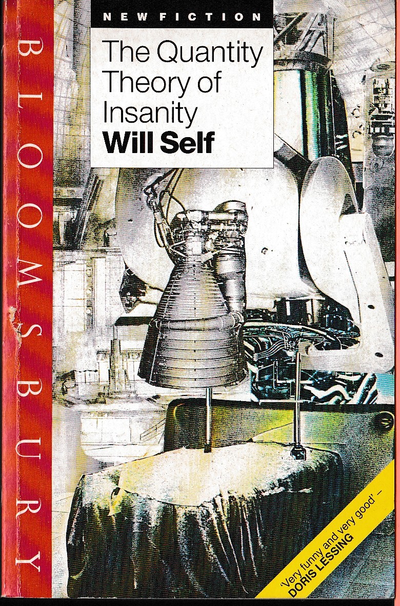 Will Self  THE QUANTITY THEORY OF INSANITY front book cover image