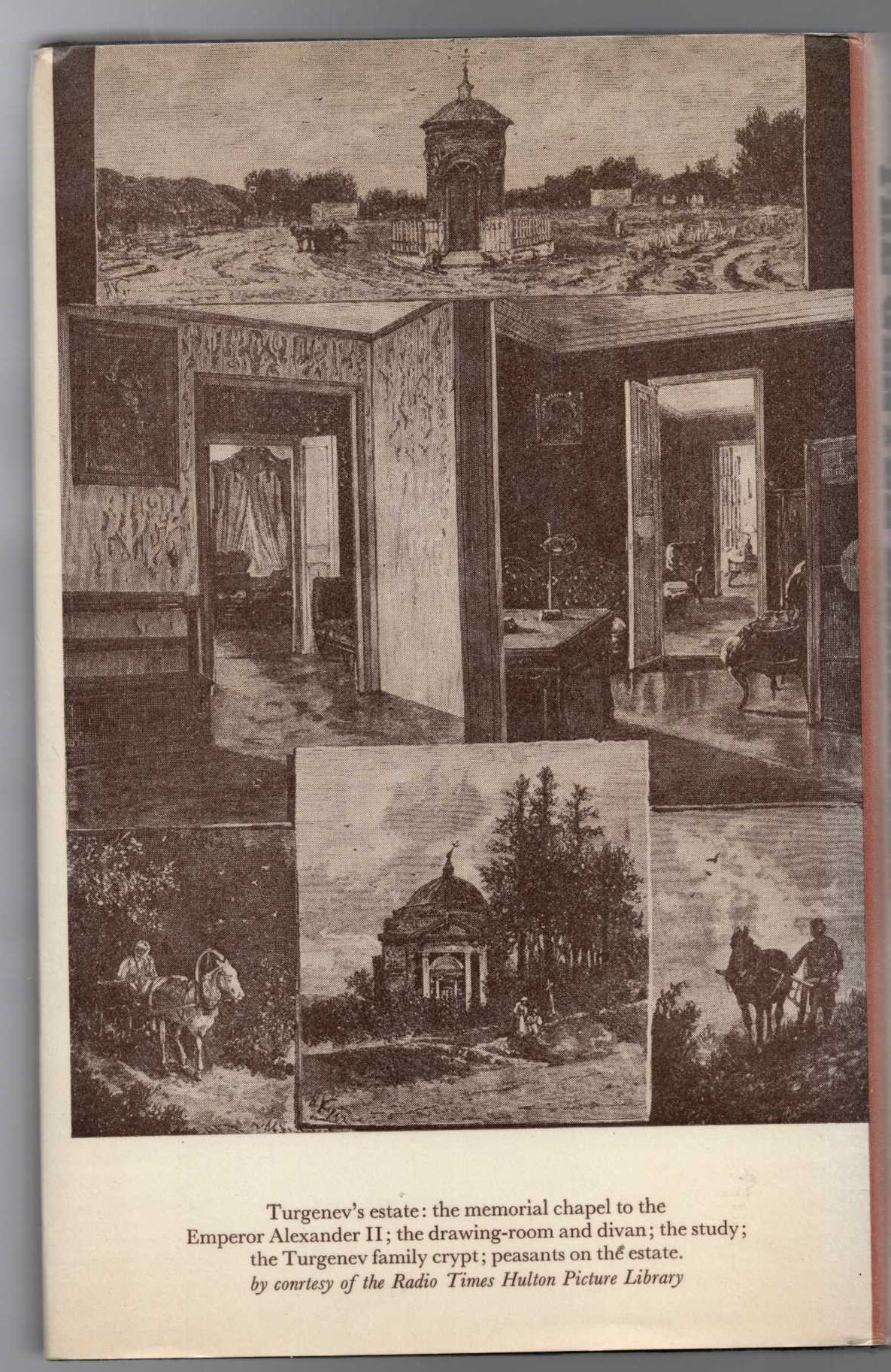 THE GENTLE BARBARIAN. The Life and Work of Turgenev magnified rear book cover image
