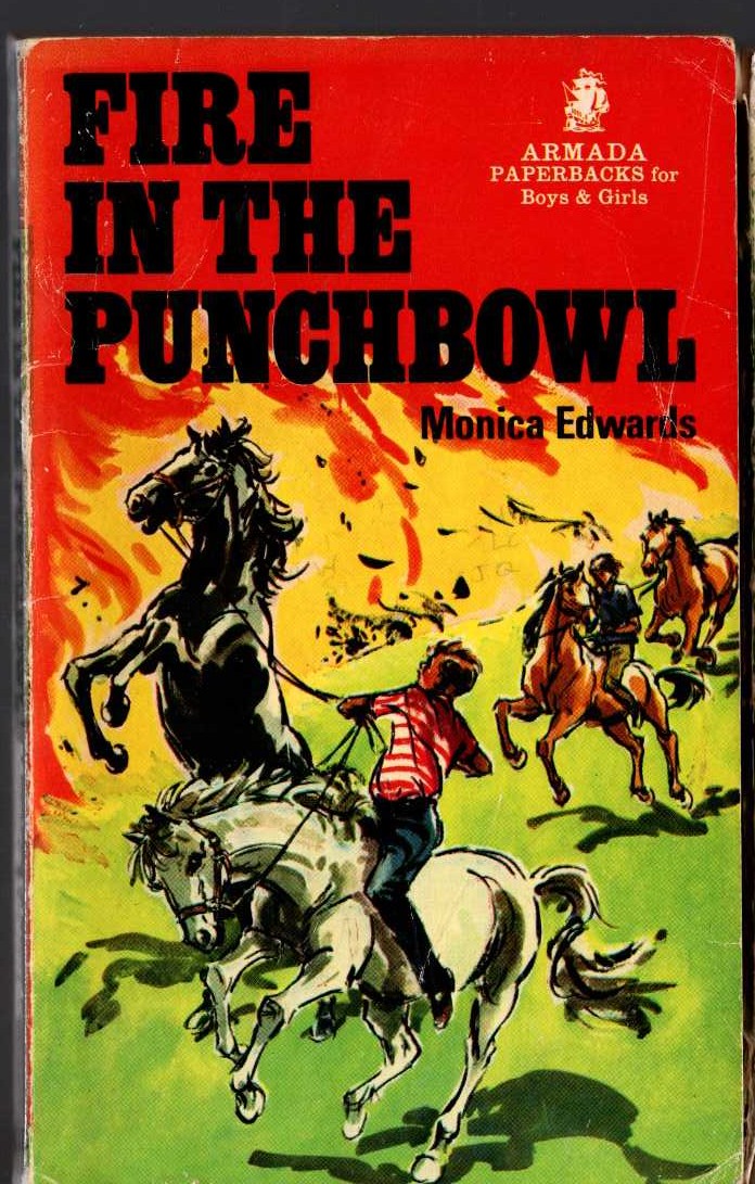 Monica Edwards  FIRE IN THE PUNCHBOWL front book cover image