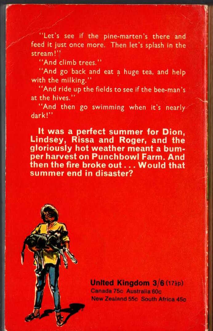 Monica Edwards  FIRE IN THE PUNCHBOWL magnified rear book cover image