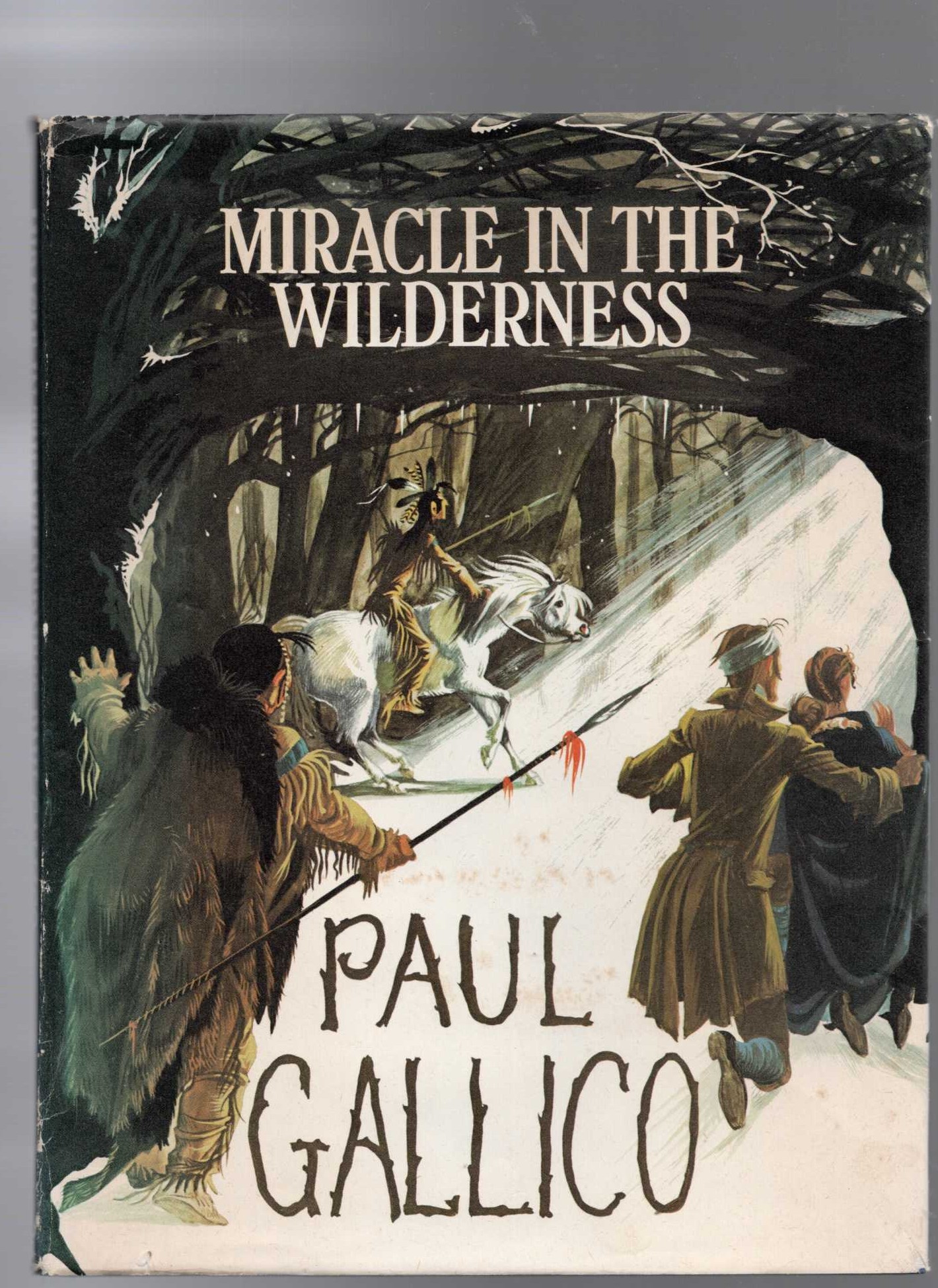 MIRACLE IN THE WILDERNESS front book cover image