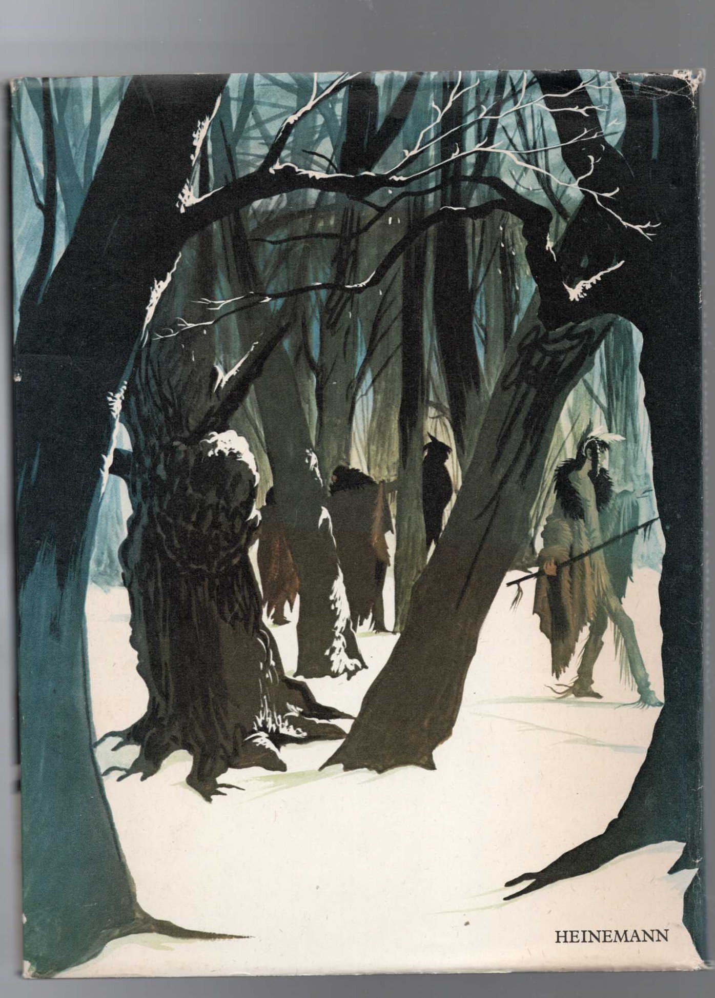 MIRACLE IN THE WILDERNESS magnified rear book cover image