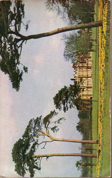  magnified rear book cover image