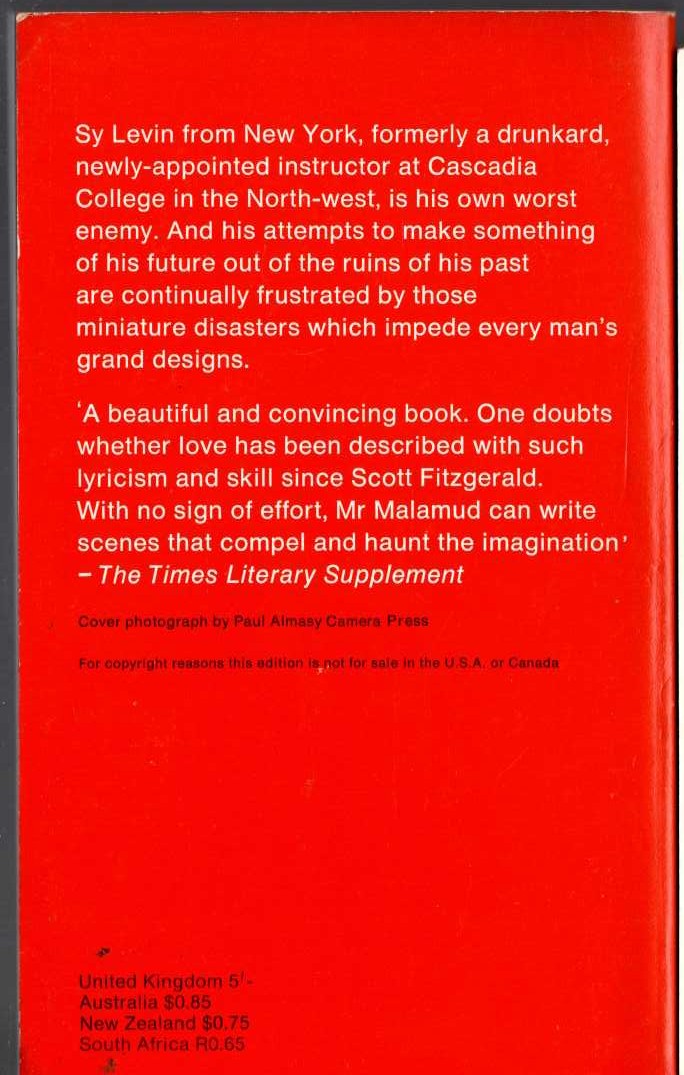 Bernard Malamud  A NEW LIFE magnified rear book cover image