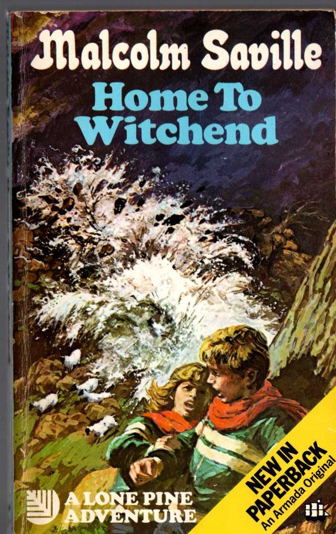 Malcolm Saville  HOME TO WITCHEND front book cover image