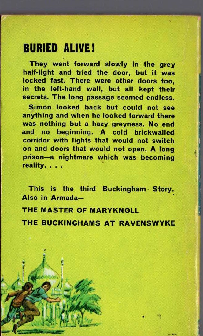 Malcolm Saville  THE LONG PASSAGE magnified rear book cover image
