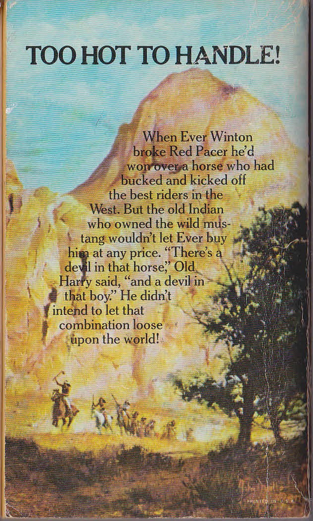 Max Brand  MAN FROM SAUAGE CREEK magnified rear book cover image