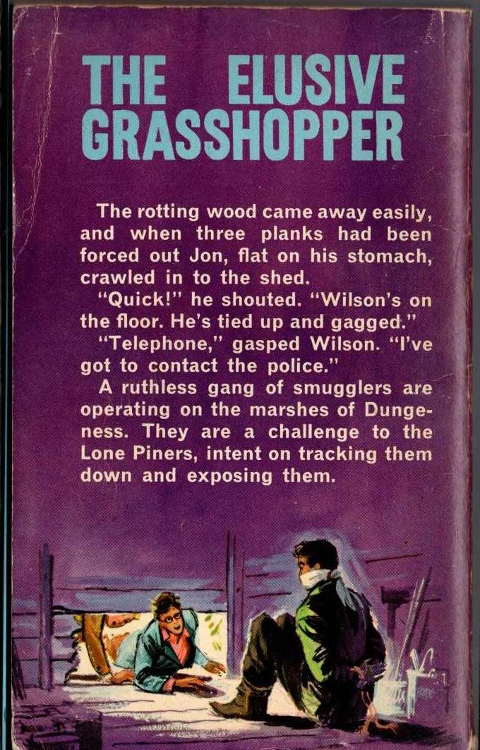 Malcolm Saville  THE ELUSIVE GRASSHOPPER magnified rear book cover image