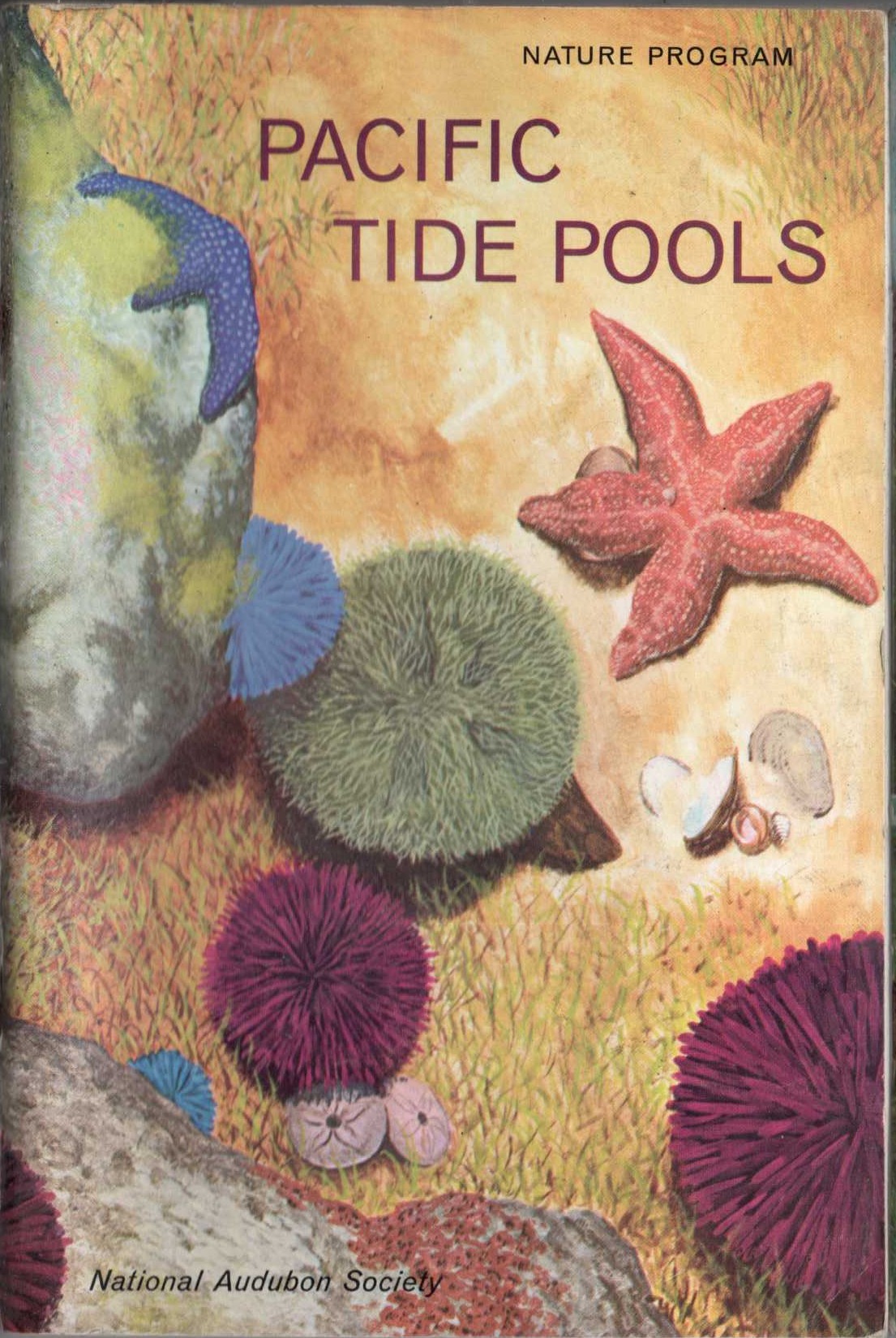 National Audbon Society  PACIFIC TIDE POOLS front book cover image