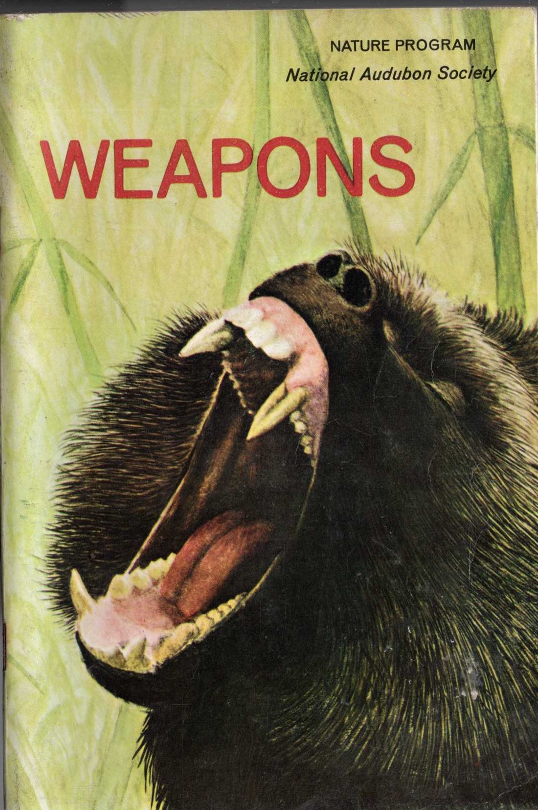 Maurice Burton  WEAPONS front book cover image