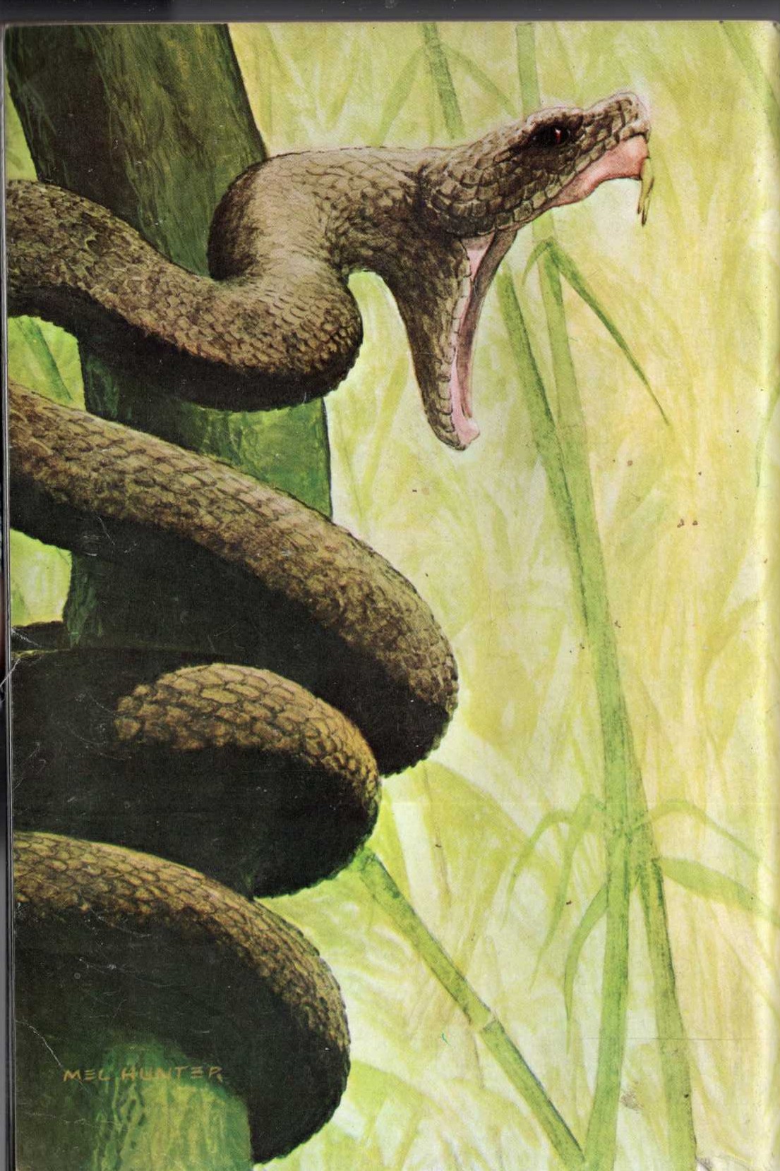 Maurice Burton  WEAPONS magnified rear book cover image