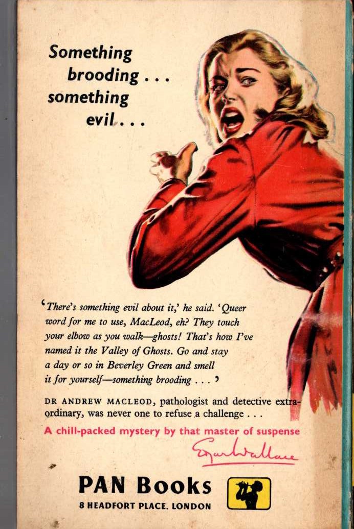 Edgar Wallace  THE VALLEY OF GHOSTS magnified rear book cover image