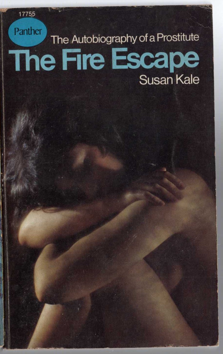 Susan Kale  THE FIRE ESCAPE front book cover image