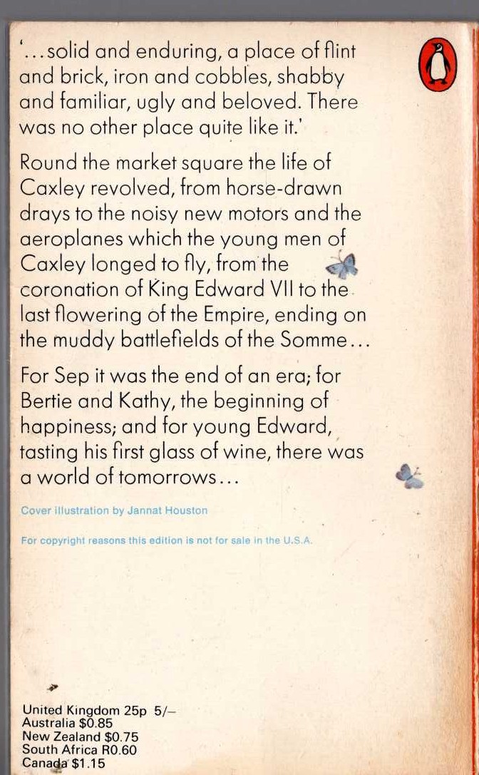 Miss Read  THE MARKET SQUARE magnified rear book cover image