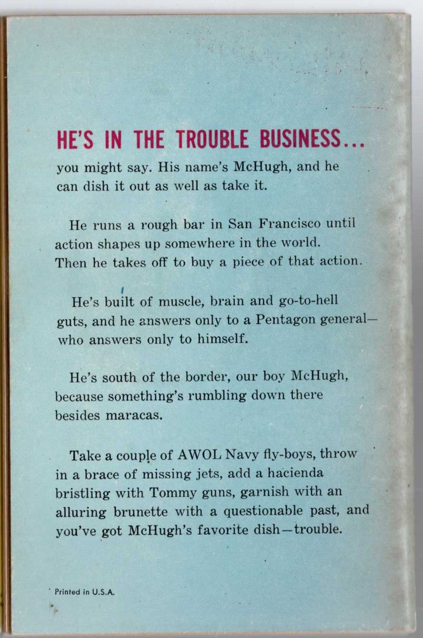 Jay Flynn  IT'S MURDER, McHUGH magnified rear book cover image