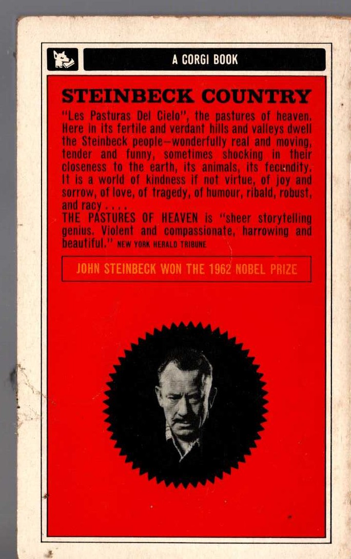 John Steinbeck  THE PASTURES OF HEAVEN magnified rear book cover image