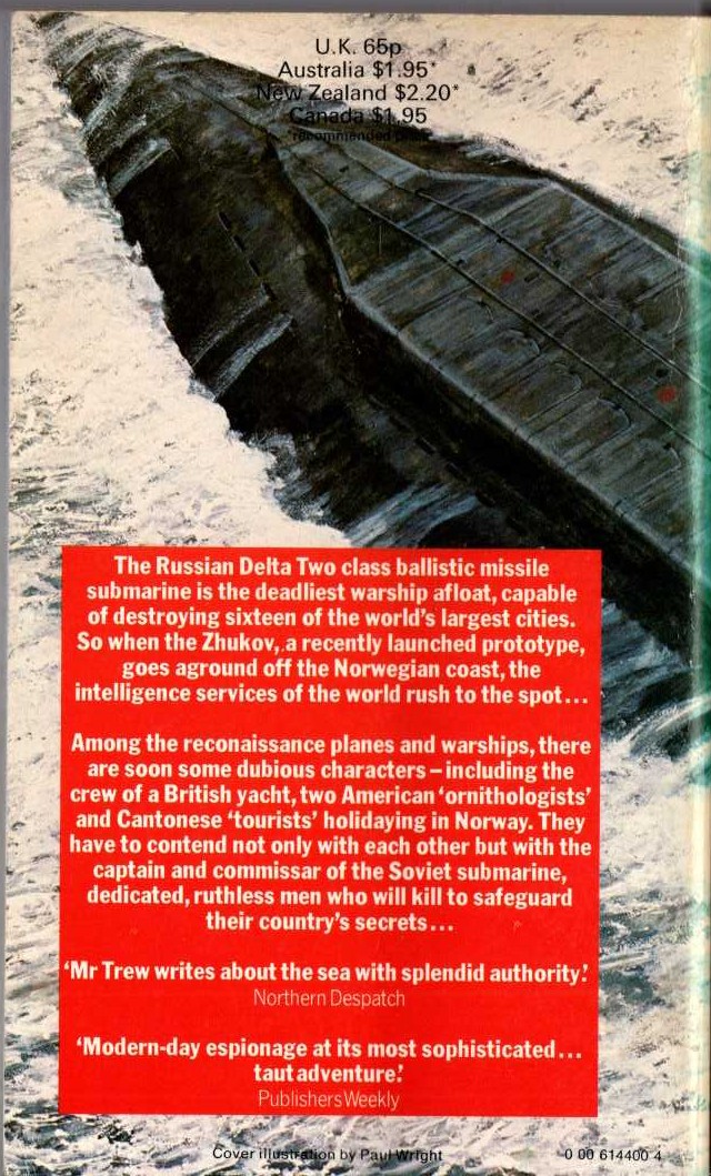 Antony Trew  THE ZHUKOV BRIEFING magnified rear book cover image