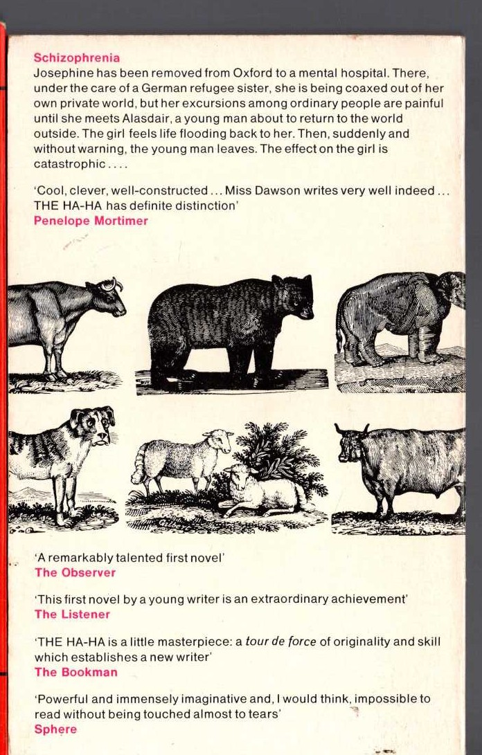 Jennifer Dawson  THE HA HA magnified rear book cover image