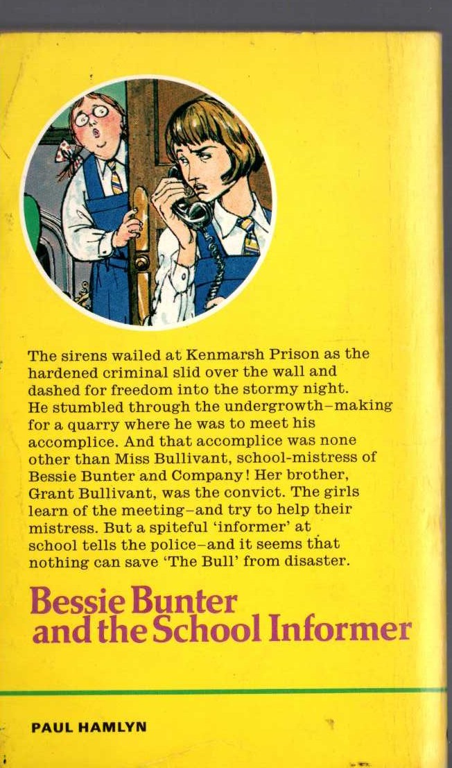Hilda Richards  BESSIE BUNTER AND THE SCHOOL INFORMER magnified rear book cover image