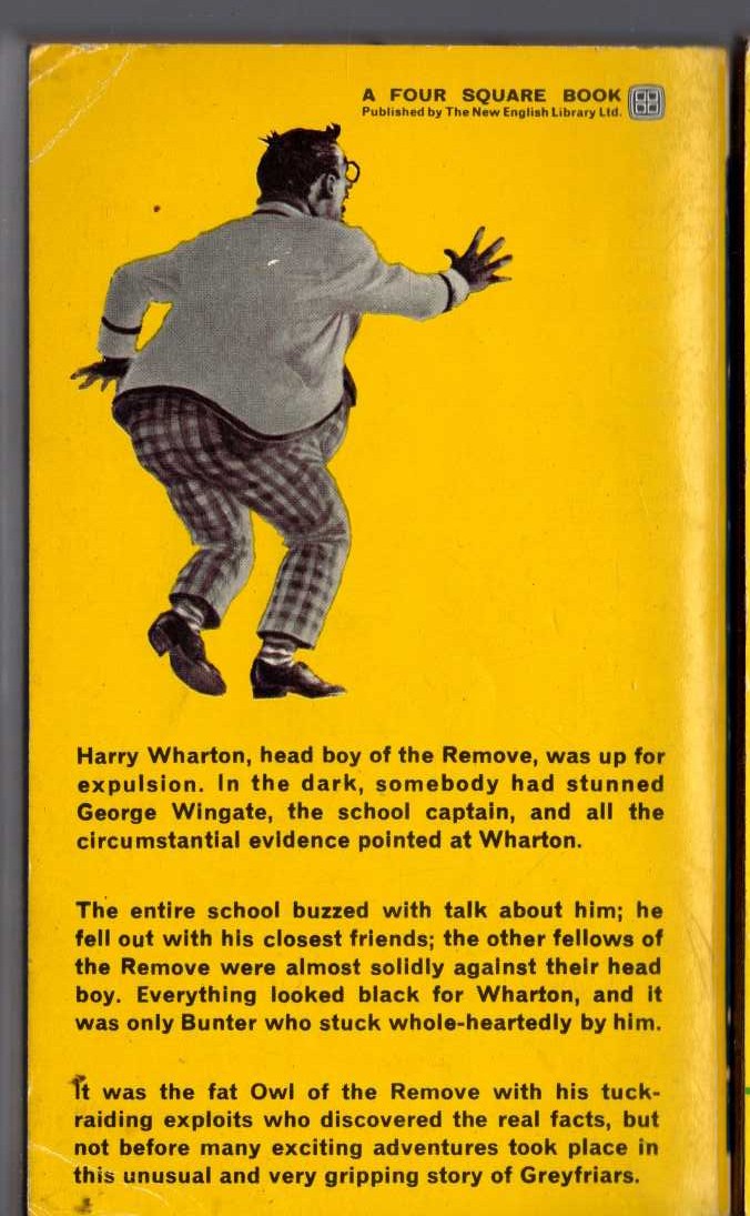 Frank Richards  BILLY BUNTER BUTTS IN magnified rear book cover image