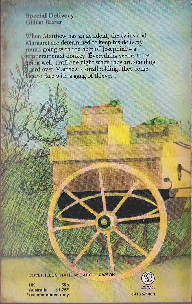 Gillian Baxter  SPECIAL DELIVERY magnified rear book cover image