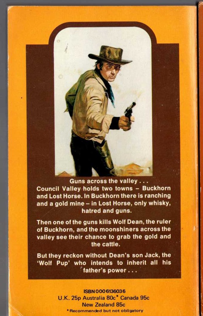 W.C. Tuttle  STRAWS IN THE WIND magnified rear book cover image