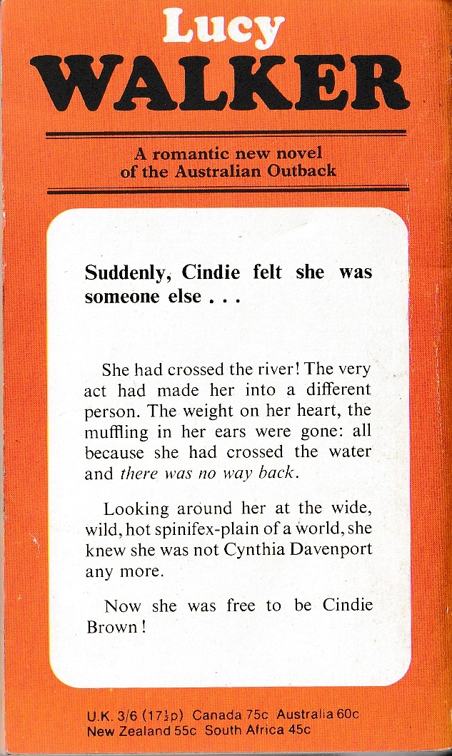 Lucy Walker  THE RIVER IS DOWN magnified rear book cover image