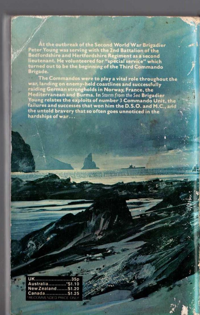 Peter Young  STORM FROM THE SEA magnified rear book cover image