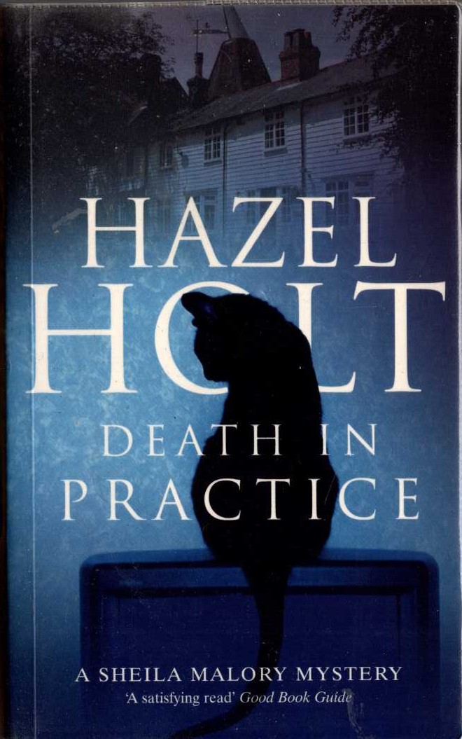 Hazel Holt  DEATH IN PRACTICE front book cover image