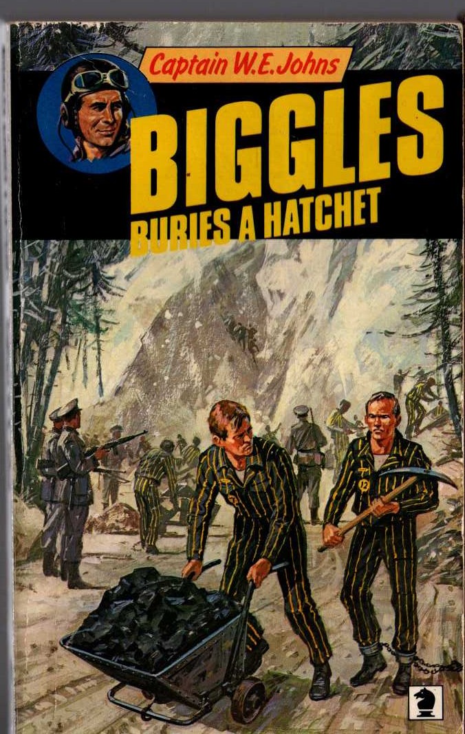 Captain W.E. Johns  BIGGLES BURIES A HATCHET front book cover image