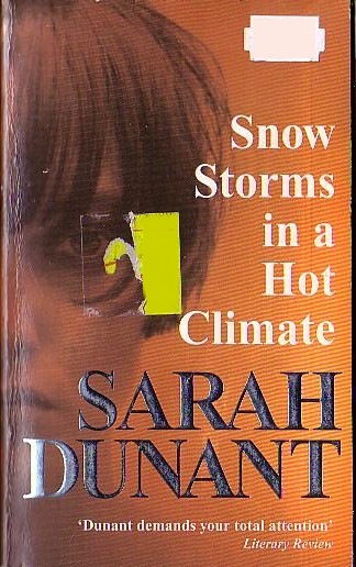 Sarah Dunant  SNOW STORMS IN A HOT CLIMATE front book cover image